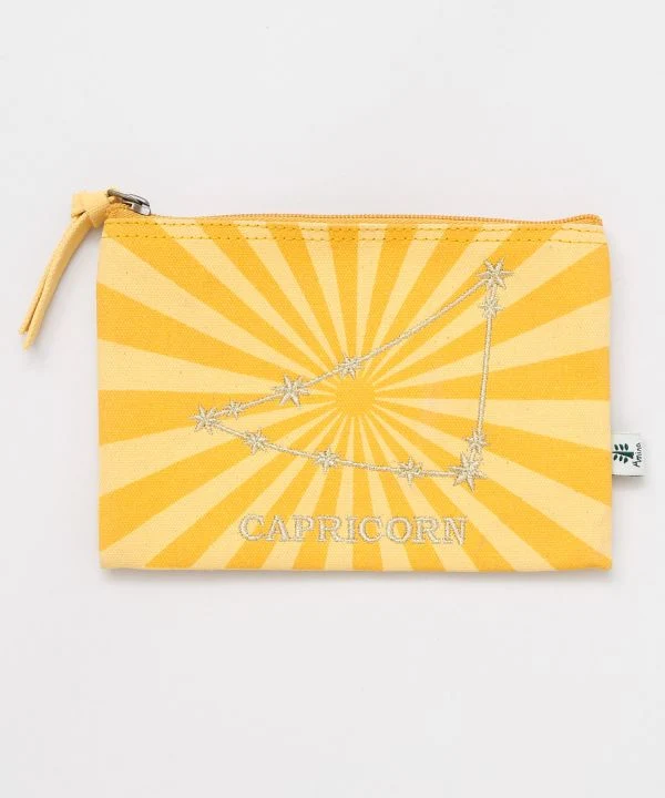Pochette plate brodée Zodiaque