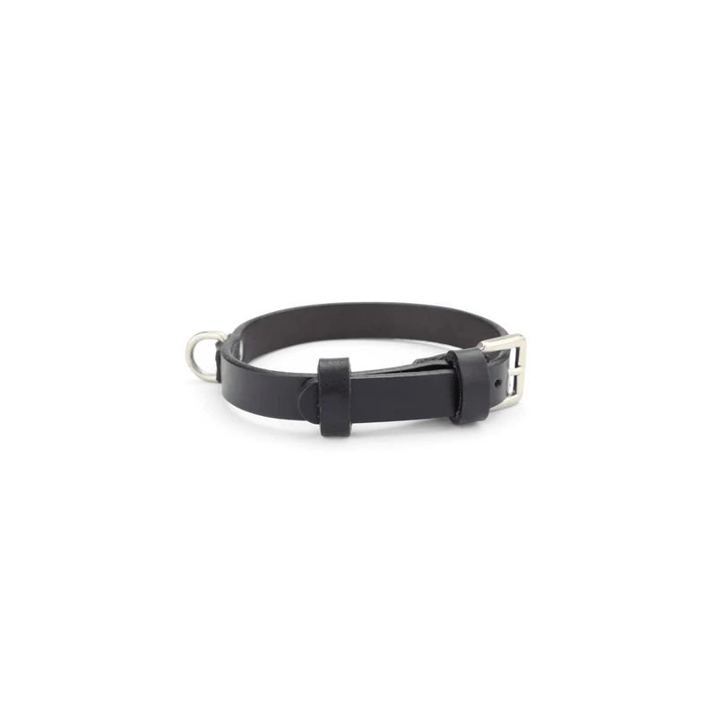 Collier Chien Slim