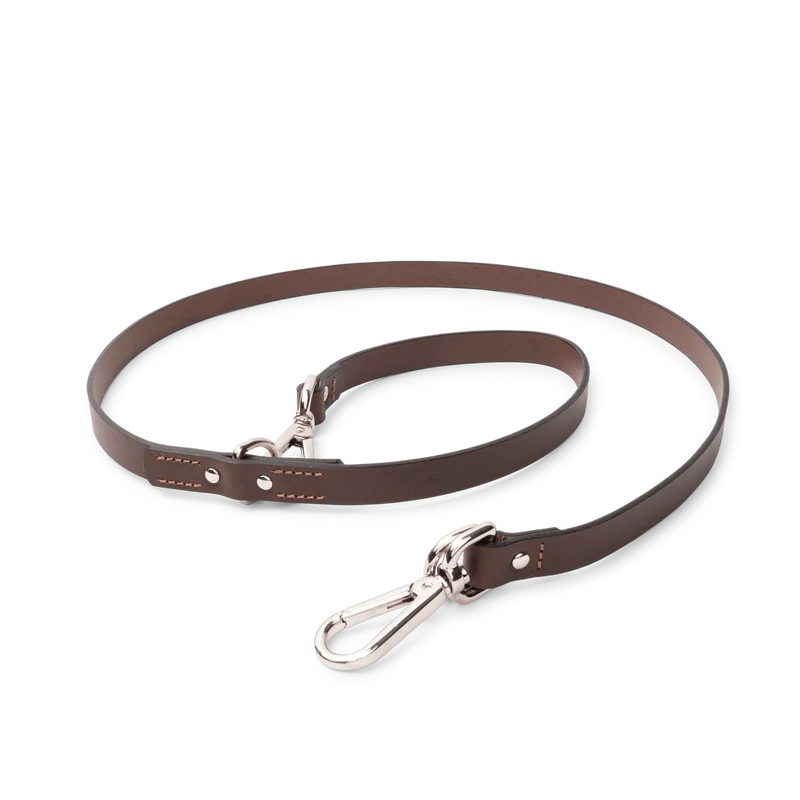 Laisse Chien Fido