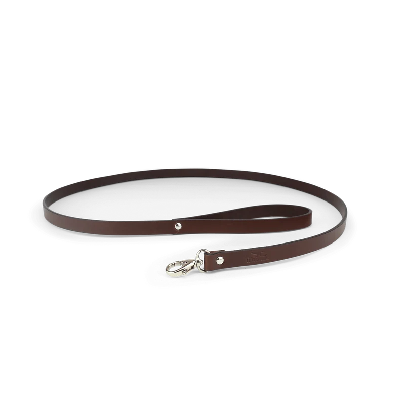 Laisse Chien Slim