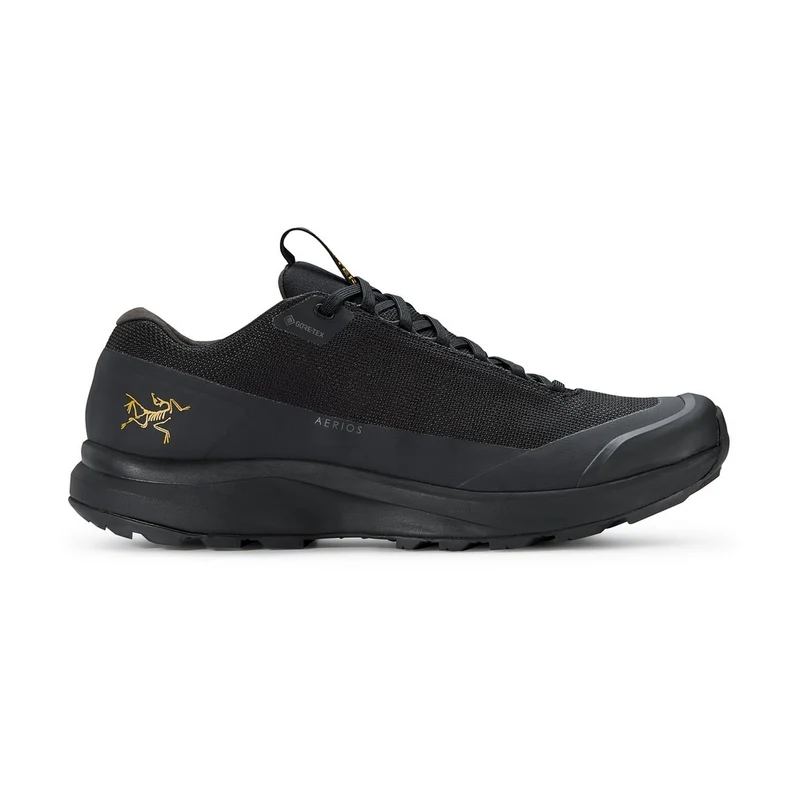 Souliers de randonnée Arc'teryx Aerios FL 2 GTX (hommes)