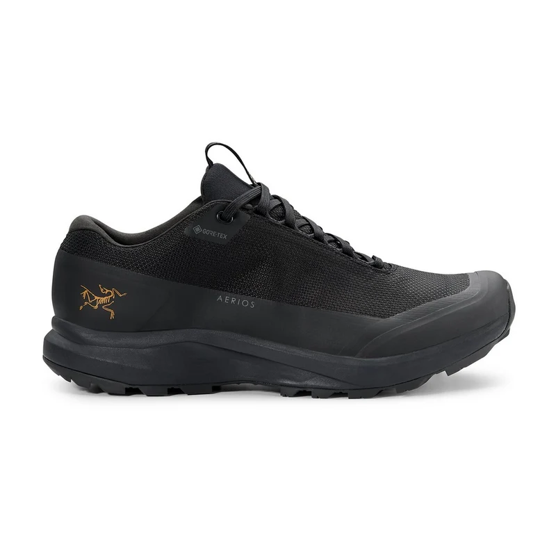 Souliers de randonnée Arc'teryx Aerios FL 2 GTX (femmes)