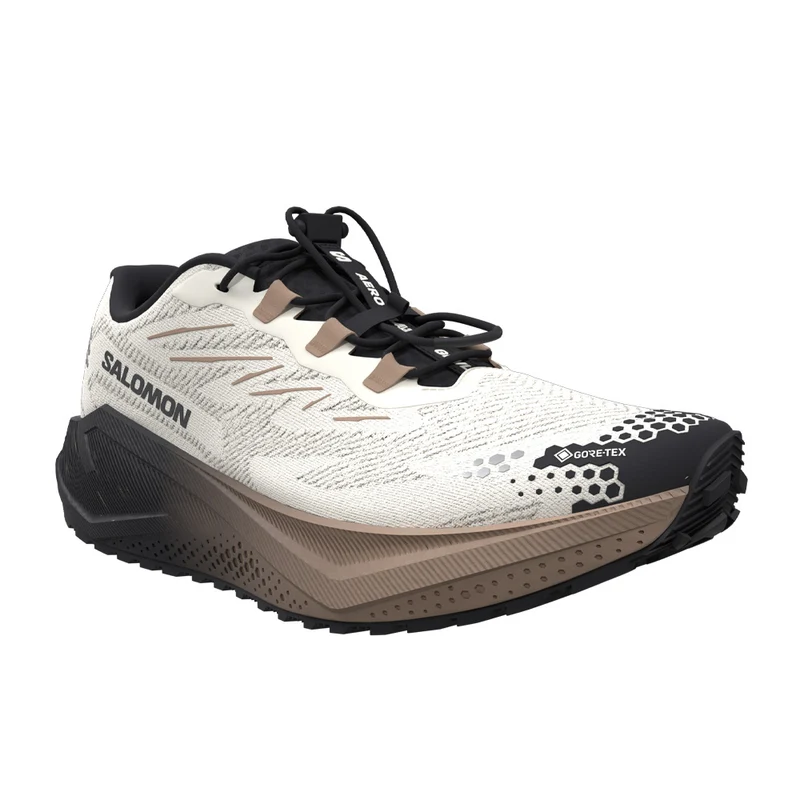 Souliers de course Salomon Aero Blaze 4 GRVL GTX (femmes)
