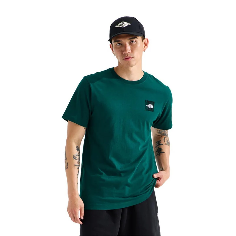 T-shirt The North Face Monte Reg (hommes)
