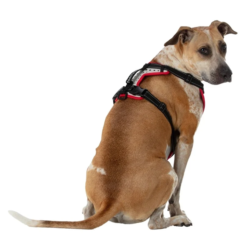 Harnais réfléchissant pour chien Nathan K9