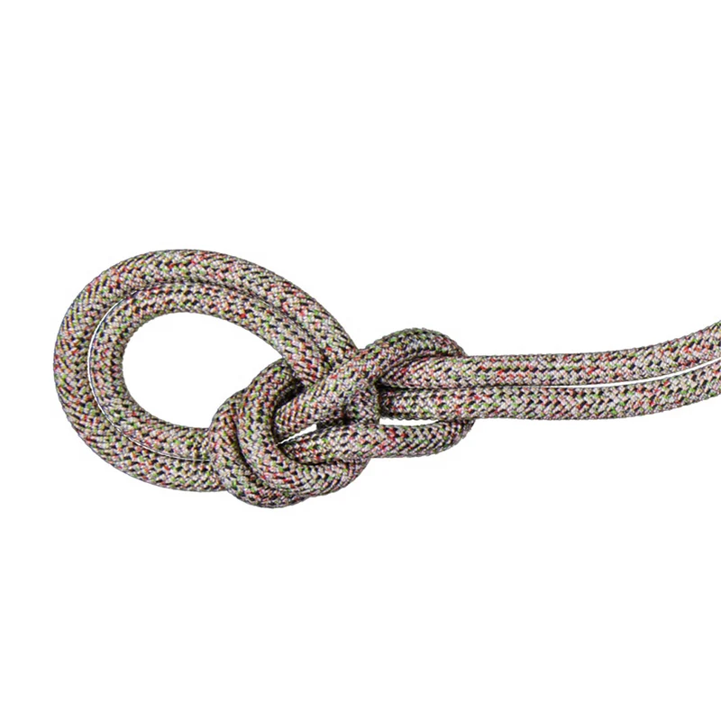Corde Mammut 9.5 Crag We Care Classic 40 m