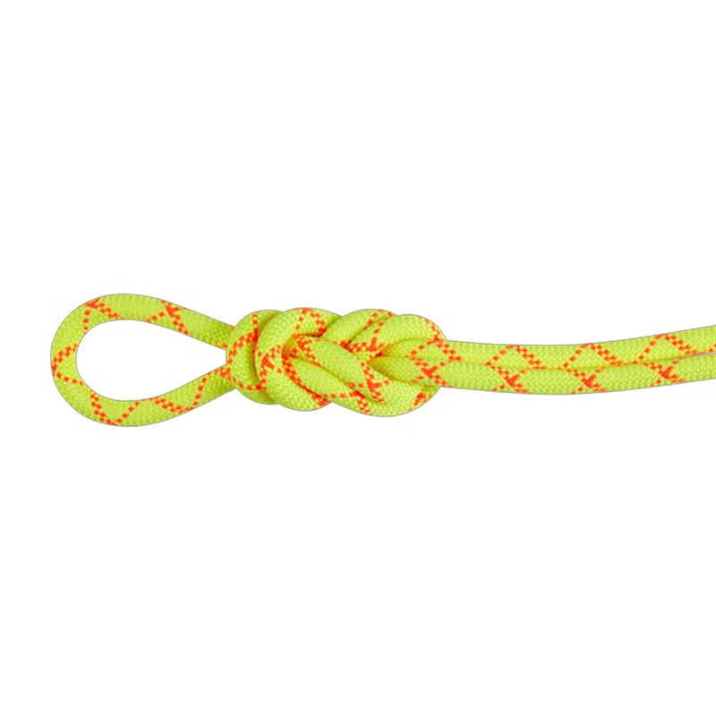 Corde Mammut 9.5 Alpine Core Protect Dry 70 m