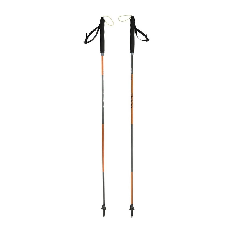 Bâtons de marche Camp Xenon Pro 2.0