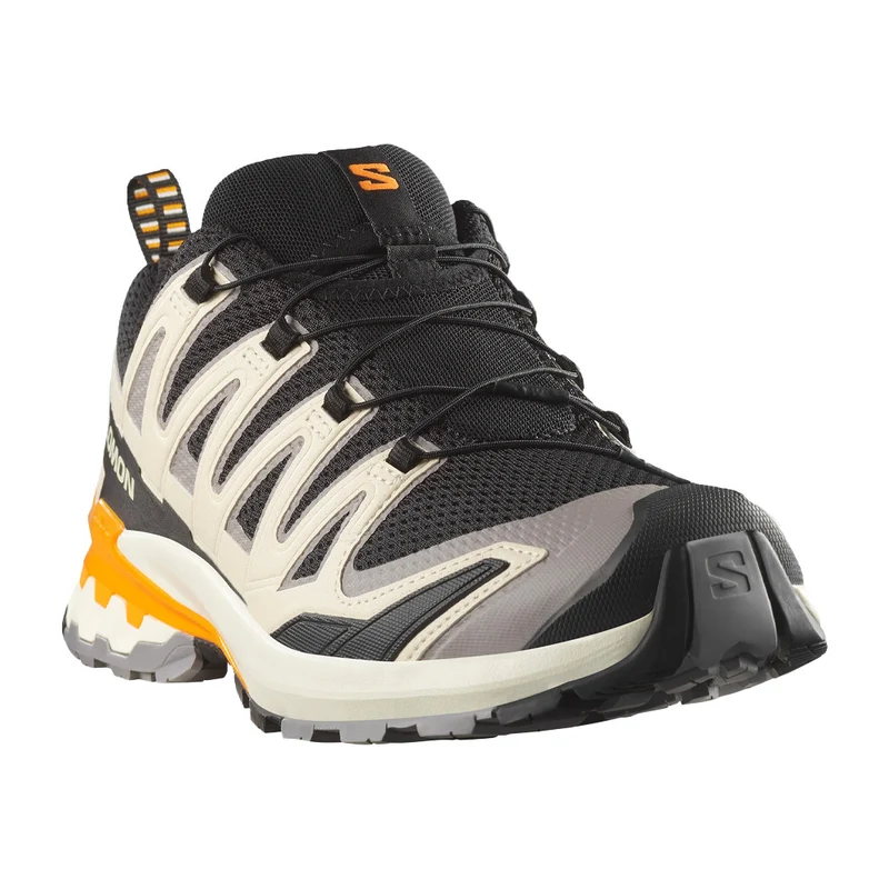 Souliers de course en sentier Salomon XA PRO 3D V9 (hommes)