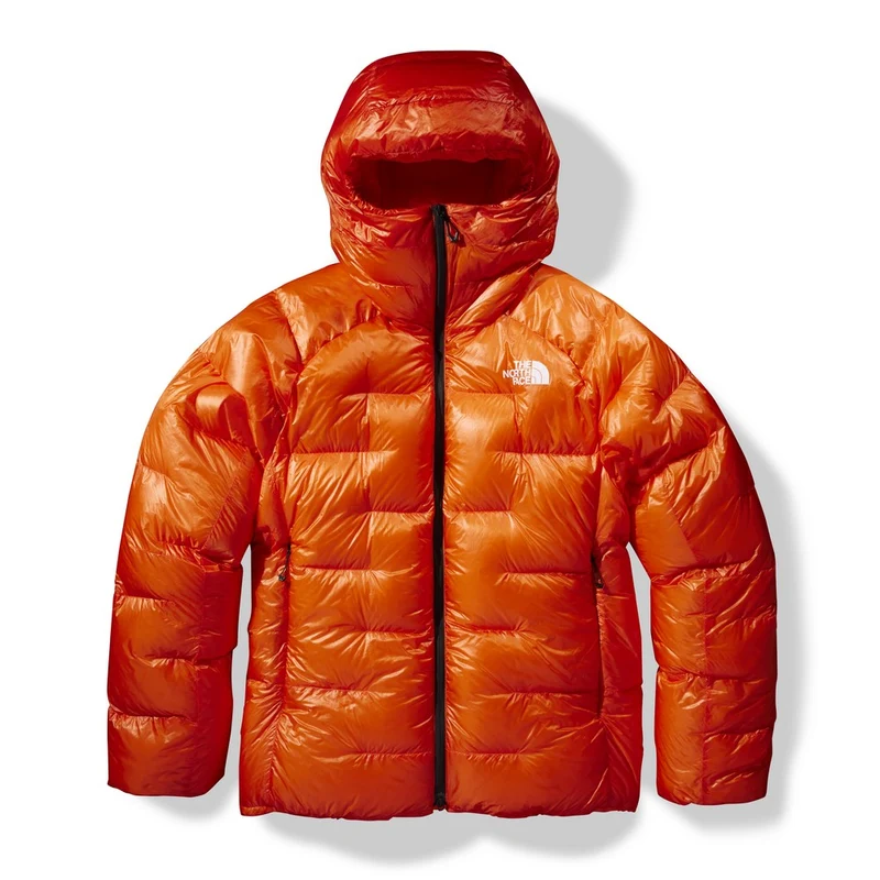 Manteau d'hiver en duvet The North Face Summit L6 Cloud (hommes)