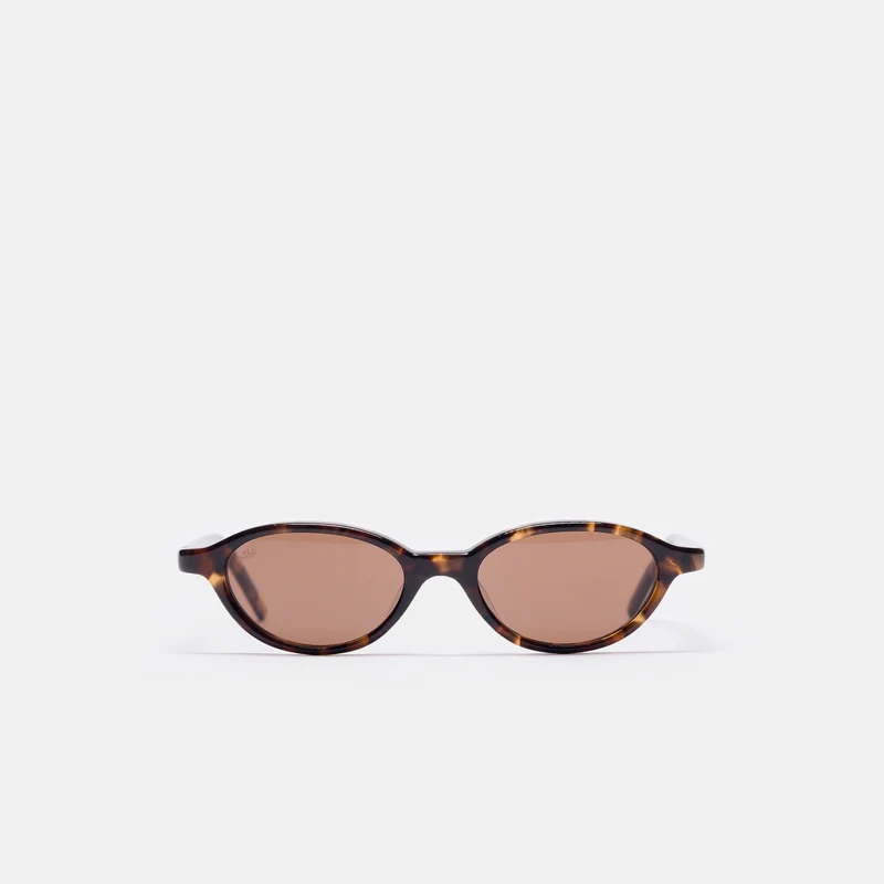 Alien Sunglasses in Tortoise/Brown