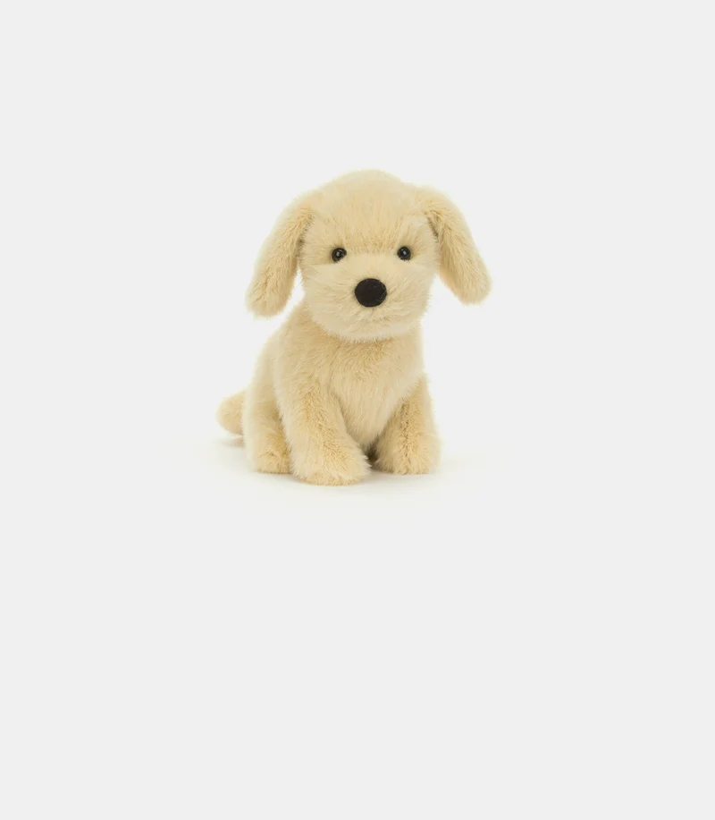 Golden puppy
