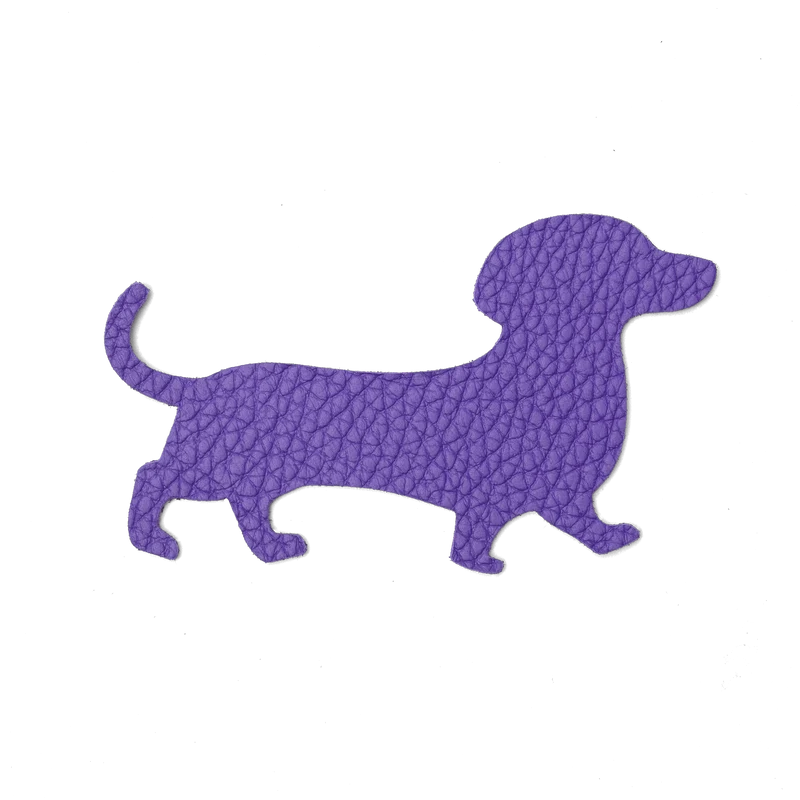Magnet Chien