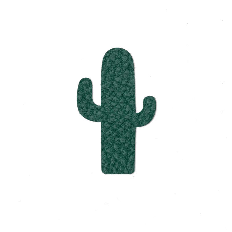 Magnet Cactus