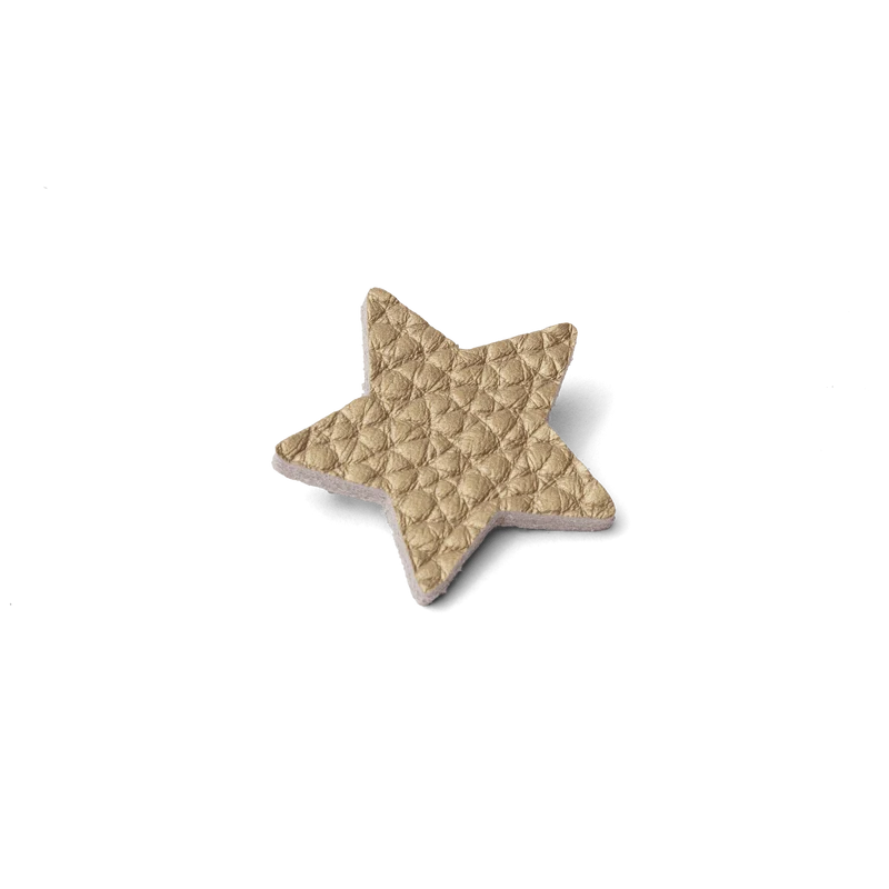 Broche Étoile