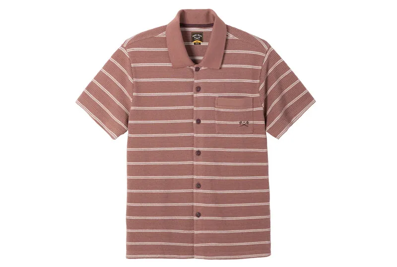 POLO SHAYNE SS