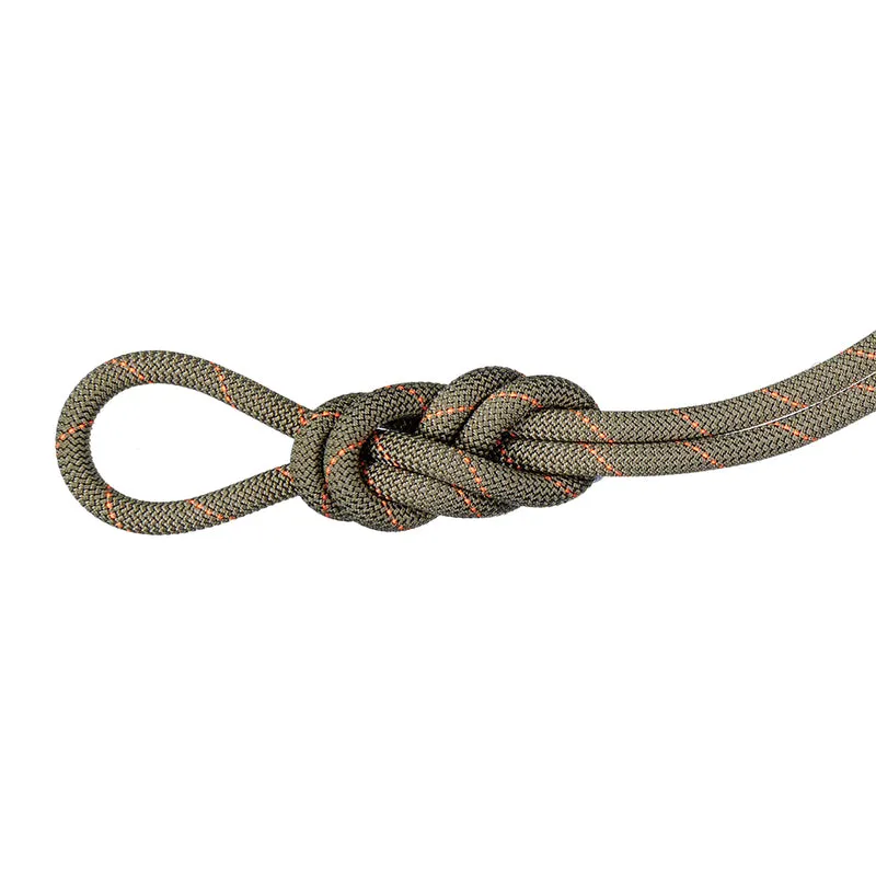 Corde d'escalade Mammut 9.9 Gym Workhorse Classic – 40 m