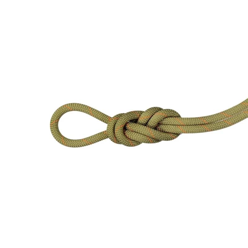 Corde d'escalade Mammut 9.9 Gym Workhorse Classic 40 m