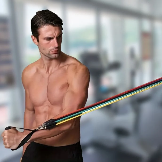 Elastique Fitness | Multiforce