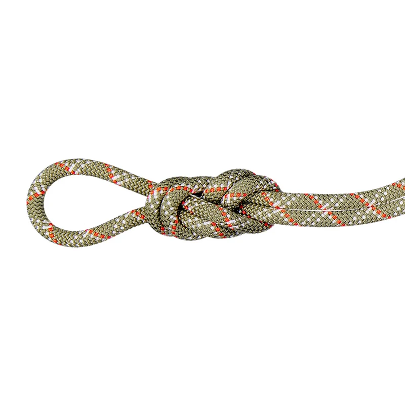 Corde d'escalade Mammut 9.5 Gym Classic– 40 m