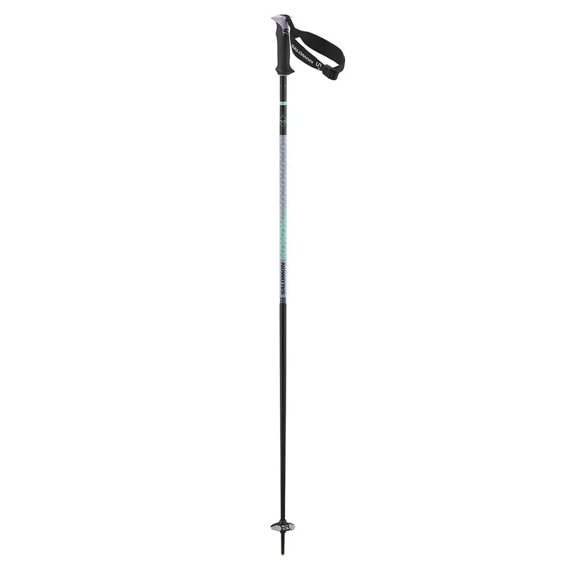 Bâtons de ski alpin Salomon Polar Pro S3