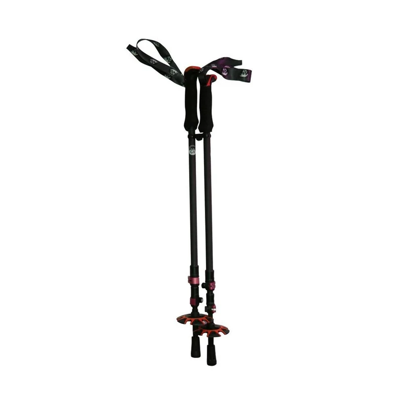 Bâtons de randonnée GV Carbon