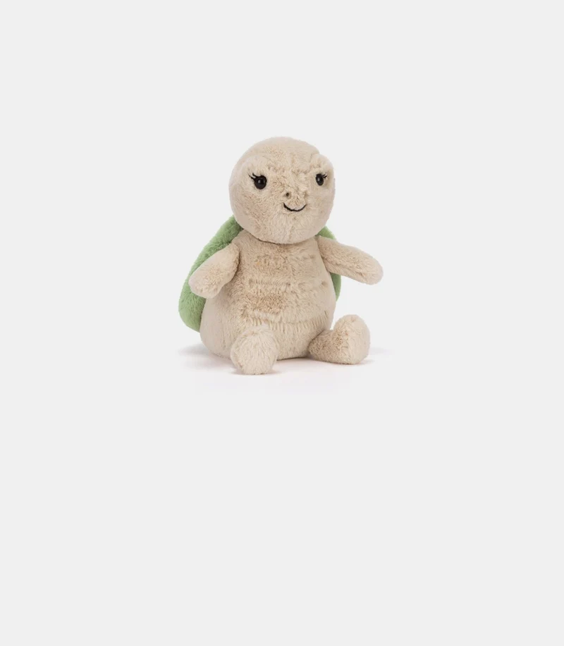 Thimble turtle