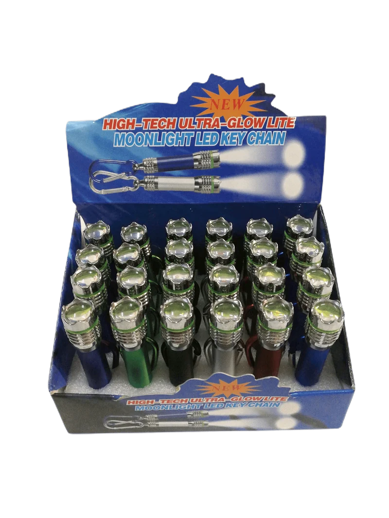 Lampes torche mousqueton (x24)