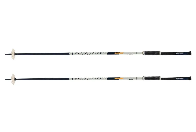 BÂTONS DE SKI LÉGION
