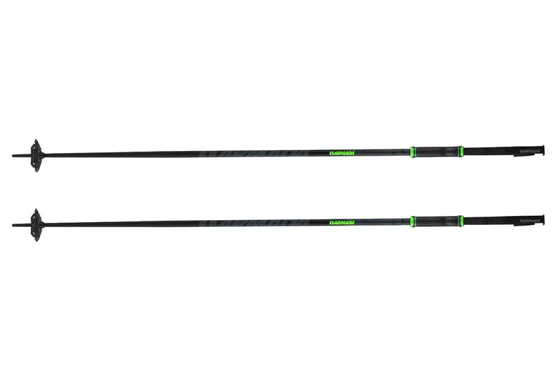 BÂTONS DE SKI LÉGION
