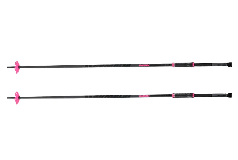 BÂTONS DE SKI LÉGION